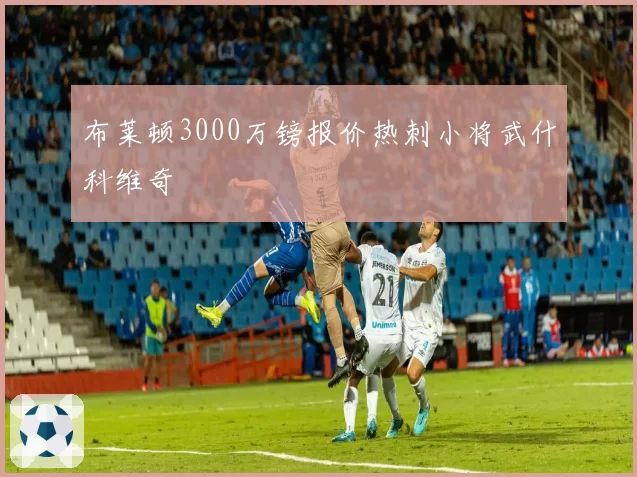 布莱顿3000万镑报价热刺小将武什科维奇