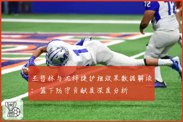 王哲林与沈梓捷护框效果数据解读：篮下防守贡献度深度分析
