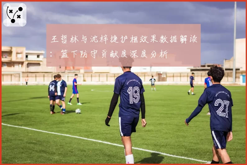 王哲林与沈梓捷护框效果数据解读：篮下防守贡献度深度分析