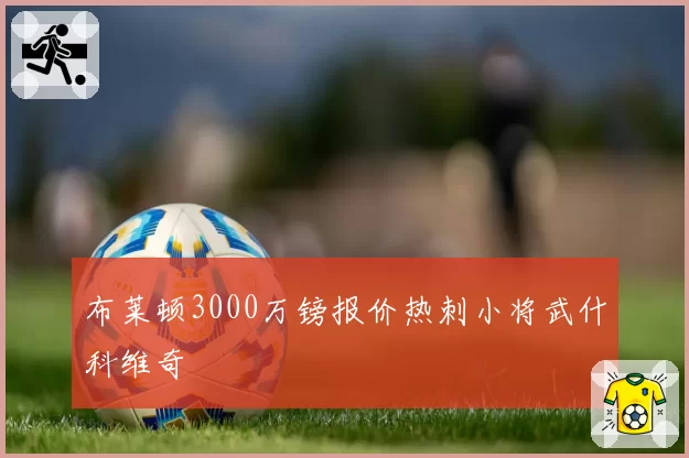 布莱顿3000万镑报价热刺小将武什科维奇
